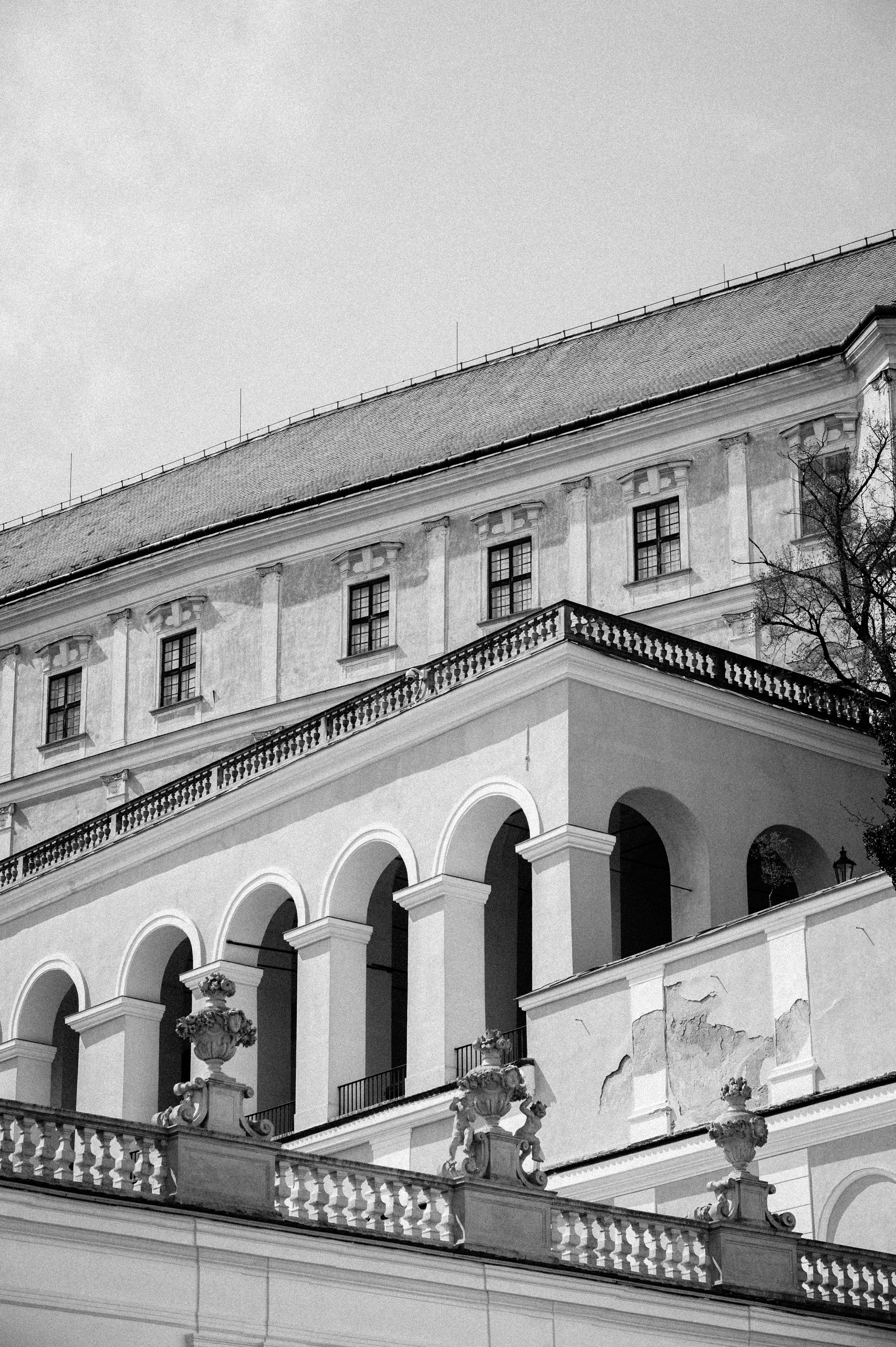 Institutional Strengthening